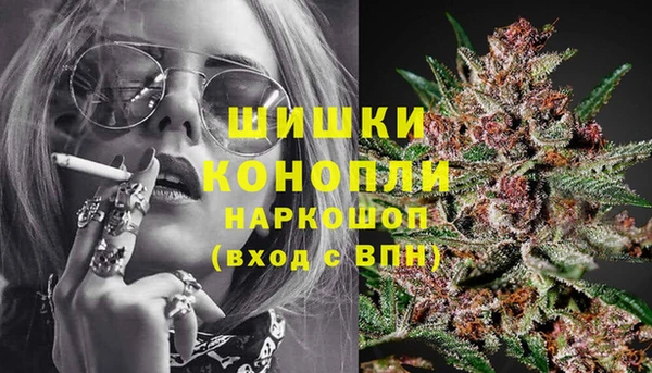 трава Елизово