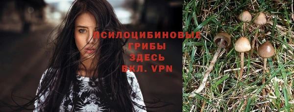 jwh Ельня